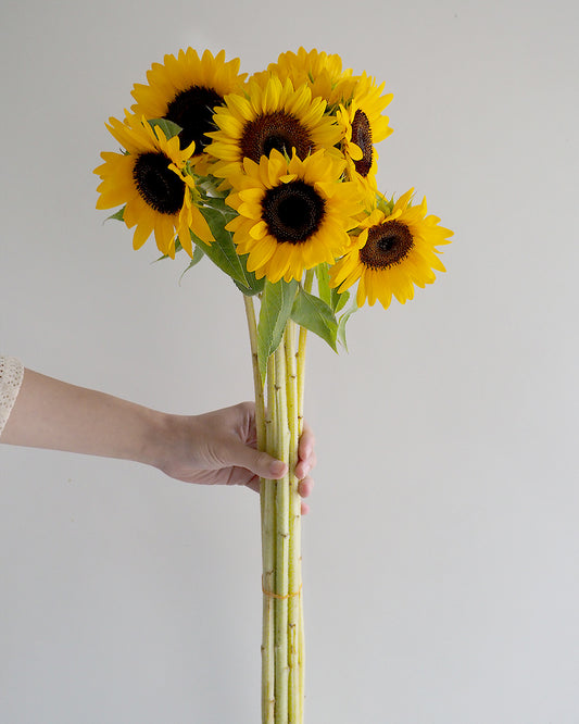 Seasonal Flower